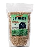 DesertUSA Cat Grass Seeds, Organic Non-GMO Wheatgrass, for Pet or Human Consumption Including Sprout
