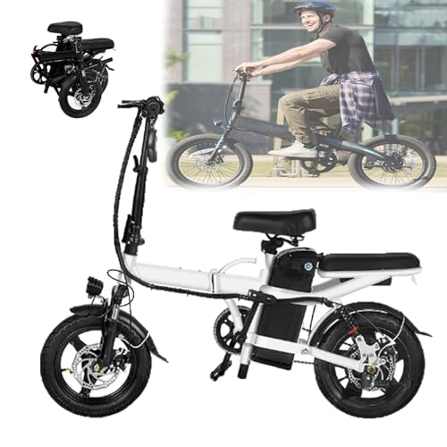 sports electric tricycle for adults