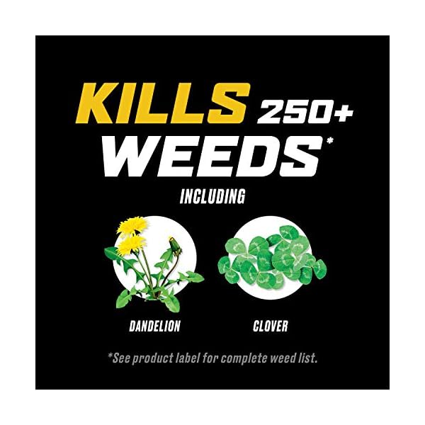 Ortho WeedClear Weed Killer for Lawns with Comfort Wand, Won't Harm Grass (When Used as