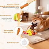 Bestwist Zerrspielzeug Hund, Training Interaktives Hundespielzeug für Kleine, Mittlere und Große Rassen, Plüsch Hundespielzeug Quietschend für Langeweile, Linderung von Angstzuständen