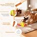 Bestwist Zerrspielzeug Hund, Training Interaktives Hundespielzeug für Kleine, Mittlere und Große Rassen, Plüsch Hundespielzeug Quietschend für Langeweile, Linderung von Angstzuständen