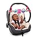 Bright Starts Busy Birdies Carrier Toy Bar