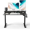 FEZIBO 48 x 24 Inch Height Adjustable Electric Standing Desk with Double Drawer, Stand up Home Office Computer Desk with 4 Height-Adjustable Feets & 2 Hooks,Black