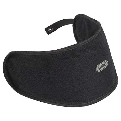 shoei backpack 2.0