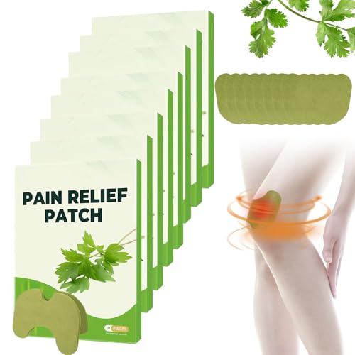 Gobesty 80 Pcs Pain Relief Patches for Knee, Back, Neck, Shoulder Inflammation and Sore Muscles