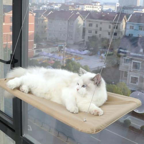 Espace de couchage idéal pour chat d'appartement : éliminez l'encombrement au sol - 4