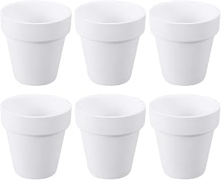 Hemoton Hoog kwaliteit 6 unidades de flores de planta suculenta Vasos de bonsai de cerâmica decoração simples para casa