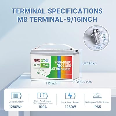 Redodo 12V 100Ah LiFePO4 Battery, Rechargeable Lithium Iron Phosphate Battery, Built-in 100A BMS, 4000-15000 Deep Cycles & 10-Year Lifetime, Perfect for RV, Camping, Solar Home etc.