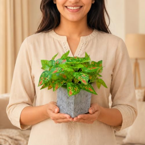 Image of fancymart Artificial Plant with Real-Touch Leaves in Pot, 25 cm, Indoor Tabletop Item for Home Decor, Office, Living Room