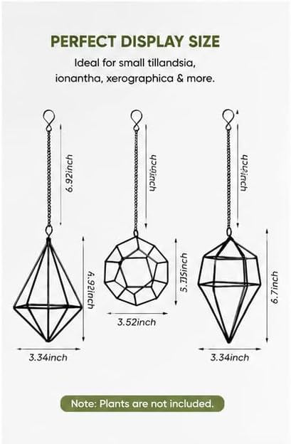 6 Pack Geometric Air Plant Holders for Wall Hanging, Black Metal Tillandsia Decor for Boho Home, Office & Shelf Styling