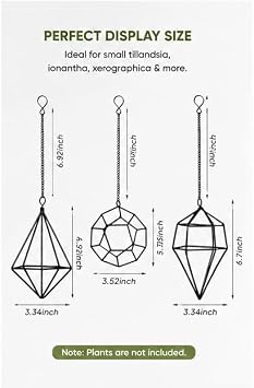 6 Pack Geometric Air Plant Holders for Wall Hanging, Black Metal Tillandsia Decor for Boho Home, Office & Shelf Styling