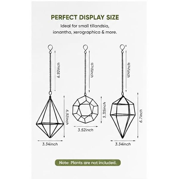 libproqia 6 Pack Geometric Air Plant Holders for Wall Hanging, Black Metal Tillandsia Decor for Boho Home, Office & Shelf Styling by libproqia - Image 6