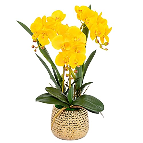 Orchée Phalaenopsis artificielle blanche en pot de soie pour table