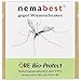 Produktbild nemabest® SC+SF Nematoden für 100m² (50 Mio.) gegen Wiesenschnaken (Tipula)