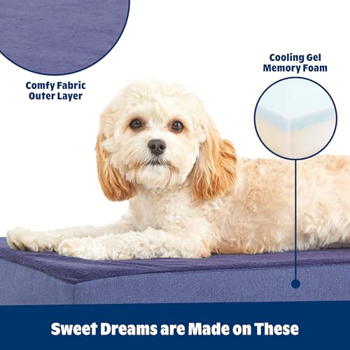 Barkbox Orthopedic Dog Bed with Memory Foam, Premium Comfort for Dogs and Puppies, Dog Bed for Joint Relief and Restful Sleep, Durable and Easy to Clean - Navy, Medium by Barkbox - Image 2