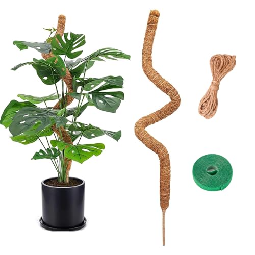 BigKego Monstera Tuteur naturel pour plantes grimpantes 120 cm Bâton de mousse flexible en fibre de coco avec accessoires pour plantes grimpantes