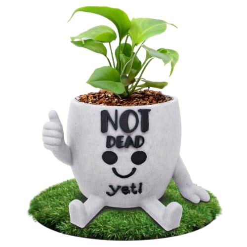 Funny Face Indoor Head Planter Pot, 3D Printed, Unique Small Succulent Flower Pot, Cute Cactus Planter, Indoor Home Decor, Office Desk Plant Pot, Novelty Gardening Gift Set