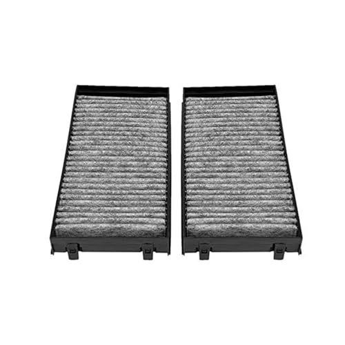 Filtro de habitáculo para BMW X5 E70 contra el polen molesto 3