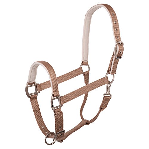 Halfter BR Event azul de cincha fuerte para caballo grande 5