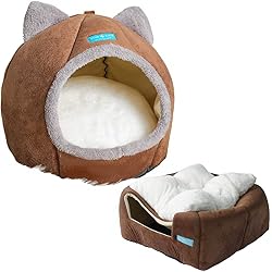 DUKE & DIXIE Casa Toca Iglu