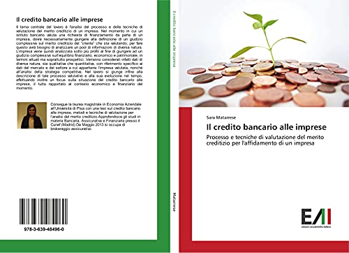Il credito bancario alle imprese: Processo e tecniche di valutazione del merito creditizio per l'affidamento di un impresa