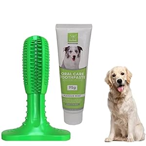 The DDS Store Dog Toothbrush Stick-Puppy Dental Care Brushing Stick + Pet Dog Toothpaste Dental Clean Oral Health Care Fresh Breath Plaque Removal Aid -95 GMS Mint Flavor