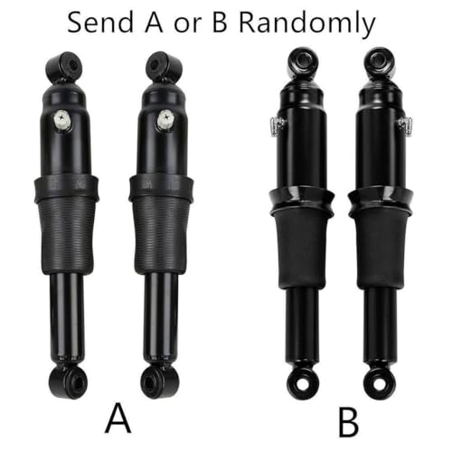 VLGCLBK Rear Air Ride Suspension Kit