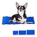 Produktbild Relaxdays Kühlmatte Hund, selbstkühlend, abwischbar, robust, mit Gel, Kühldecke für Tiere, Kältedecke 20 x 35 cm, blau