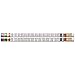 Musgrave Pencil Company Multiplication Tables Motivational Pencils, Pack of 12, Multi
