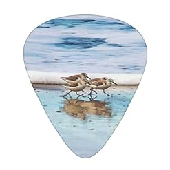 Shorebird Sandpipers Running Beach Lot de 12 médiators pour guitare acoustique électrique - Les Beatles, Paul McCartney, John Lennon, RIngo Starr, George Harrison