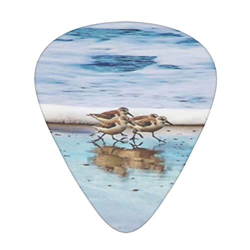 Shorebird Sandpipers Running Beach Lot de 12 médiators pour guitare acoustique électrique - Les Beatles, Paul McCartney, John Lennon, RIngo Starr, George Harrison Shorebird Sandpipers Running Beach Lot de 12 médiators pour guitare acoustique électrique