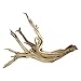 Koyal Wholesale California Driftwood with Natural Brown Branches, 24-Inch