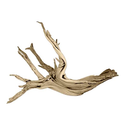 Koyal Wholesale 24-Inch Driftwood Decor
