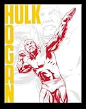 Desperate Enterprises WWE Hulk Hogan Tin Sign - Nostalgic Vintage Metal Signs - Made in the USA