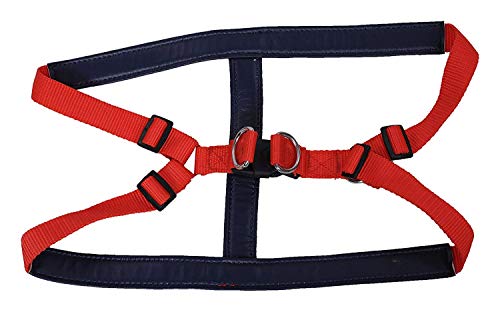 Ayra Pet Care Red Harness for Dogs