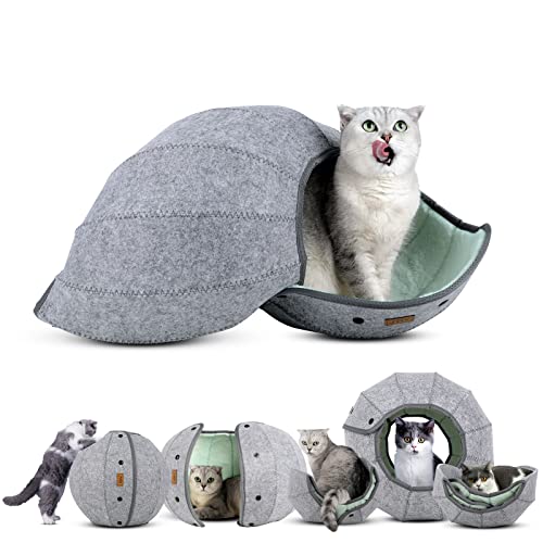 Amj K·1 Cute Shell Cat Bed House Indoor, Cat Toys Ball Interactive - Soft Cat Cave & Foldable Pet Tunnel Tube Condos, As A Multi-Function Fun Toy Bed For Puppy Dogs & Cats (Green) #TOP8