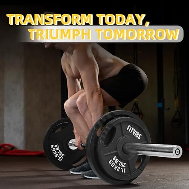 Cast Iron 2-Inch Olympic Plate Weight Plate for Strength Training and Weightlifting, Multiple Sizes