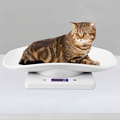 Fdit Digital Pet Weight Scale, Precise 10kg 1g Electronic Measuring for Small Pets Babies White ABS LCD 11.4 x 8.1 x 2.3in 1 Pack by Fdit - Image 4