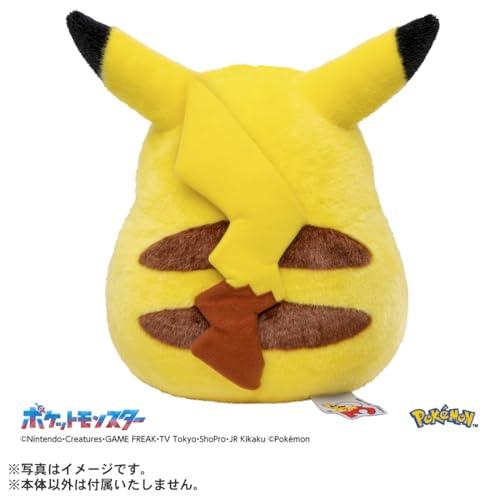 おかえり!ピカチュウ1/1 関連画像 2