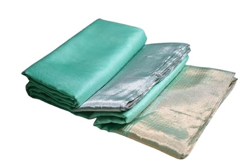 RAJVANI The Voice Of Royalty silver chanderi silk saree – image 4