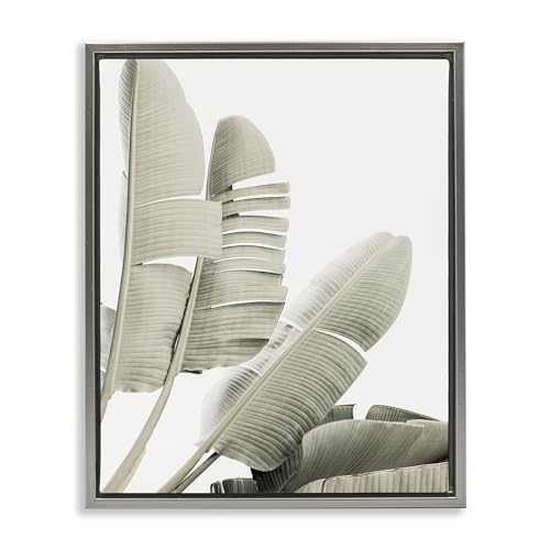 Tropical Banana Leaves Botanical, 25 x 31 Inch Canvas in Floater Frame
