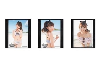 AKB ラブラドールレトリバー 店舗特典 生写真 AKB ラブラドールレトリバー 店舗特典 生写真 AKB ラブラドール