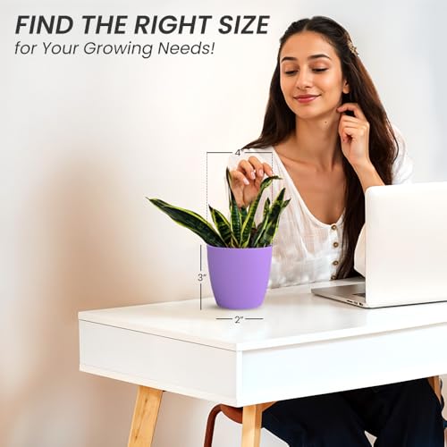 Image of YUCCABE ITALIA SHERA Stella 4 Inch Plastic Plant Pot for Home Decor Indoor Plant Pots for Living Room Plastic Flower Pot for Garden (Lavender, 4 INCH - 6 Pcs)