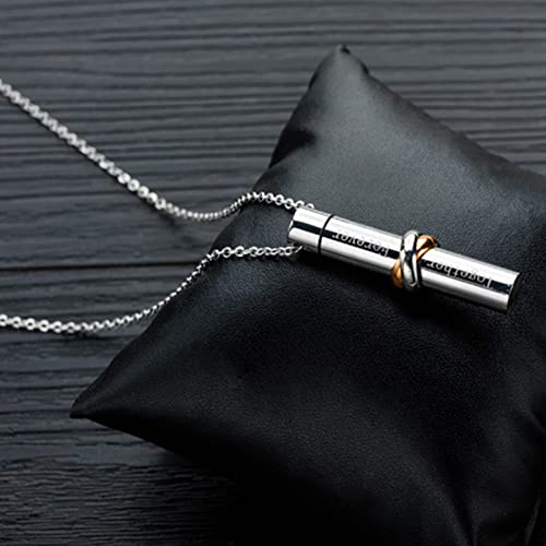 Hislaves Colar de cinzas de animais de estimação com letras e acessórios de joias em aço de titânio