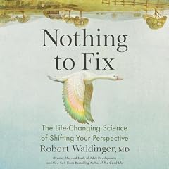 Nothing to Fix Audiobook By Robert Waldinger MD cover art