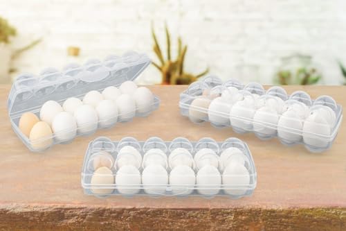 Image of Arto 12 Grid Egg Box Egg Refrigerator Tray, Stackable Plastic Egg Containers for Fridge Kitchen (Multicolor)