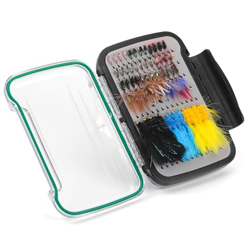 Ansnbo 100pcs Fly Fishing Flies Kit, Assorted Dry Wet Flies for Trout Bass