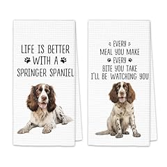Springer Spaniel