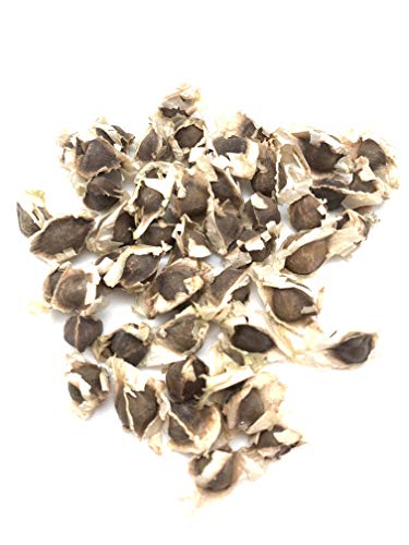 Organic Moringa Seeds | 1000 Seeds Approx.| Premium Quality | Pkm1 Variety | Edible | Planting | Moringa Oleifera| Malunggay | Semillas De Moringa | Drumstick Tree | Non-Gmo | Product From India #TOP4