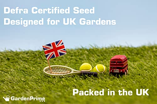 GardenPrime Fast Grass Lawn Seed - 1KG - Strong Durable Grass Seed, Fast, Rapid Green Cover, Ideal for Large Projects, Patch Repairs, Overseeding, New Lawn (1 KG)